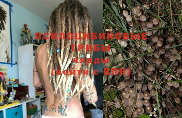 прущая мука Ростов