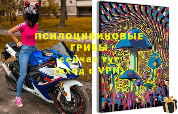 каннабис Богданович